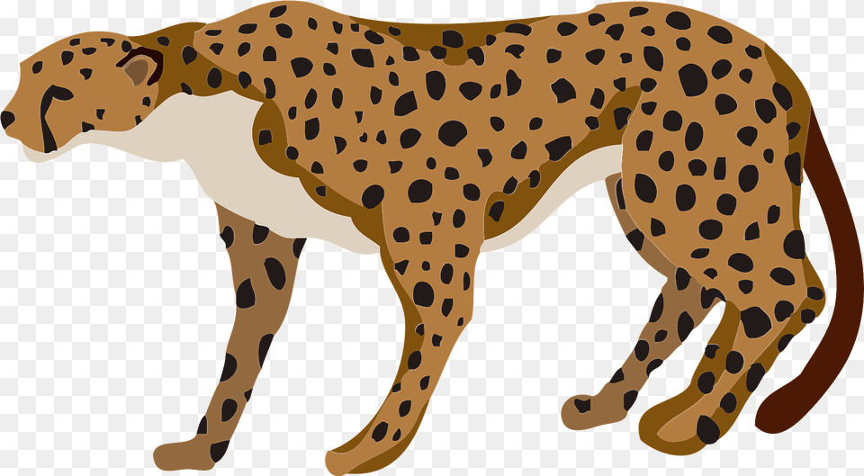 Cheetah Animal Clipart Download, Mammal, Wildlife, Panther Free Transparent Png