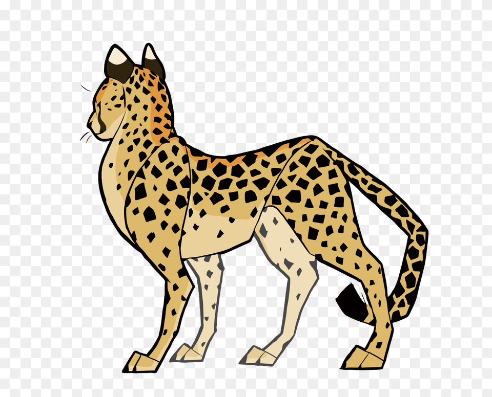 Cheetah Cat Cougar Clip Art, Animal, Mammal, Wildlife Free Png Download