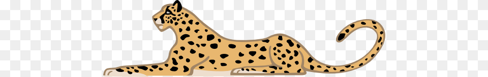 Cheetah Clip Art Look, Animal, Mammal, Wildlife Free Png Download