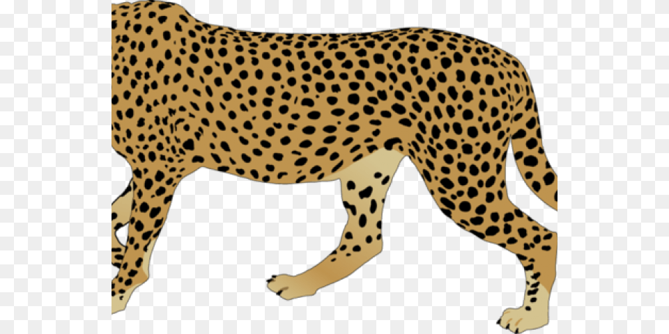 Cheetah Clipart, Animal, Mammal, Wildlife Free Png Download