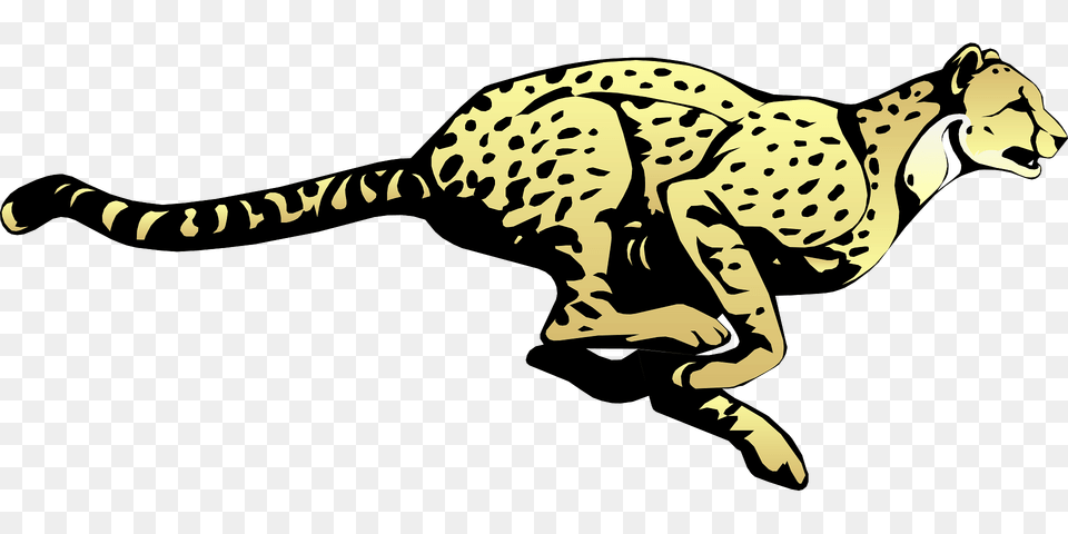 Cheetah Clipart, Animal, Mammal, Wildlife, Panther Png