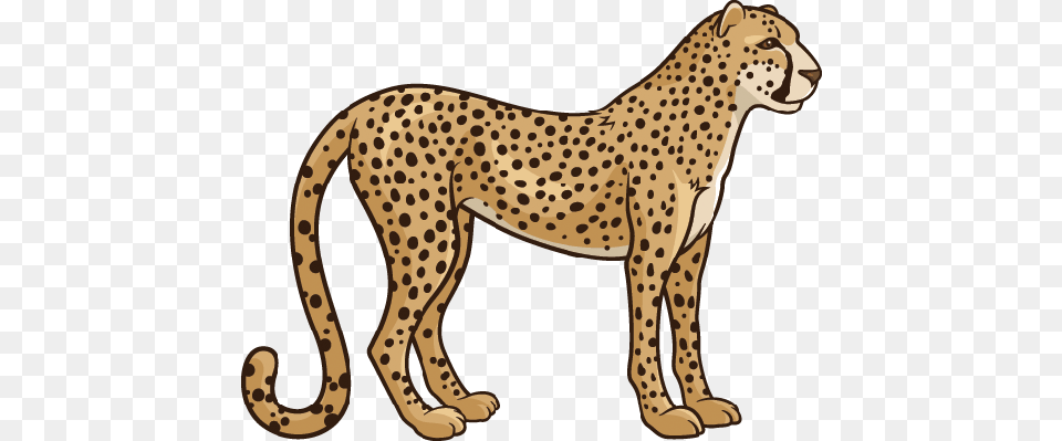 Cheetah Clipart, Animal, Mammal, Wildlife Free Png Download