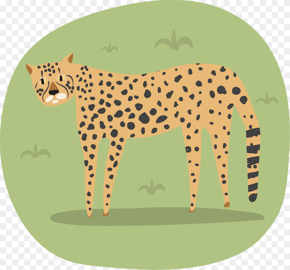 Cheetah Clipart, Animal, Mammal, Wildlife, Panther Png Image