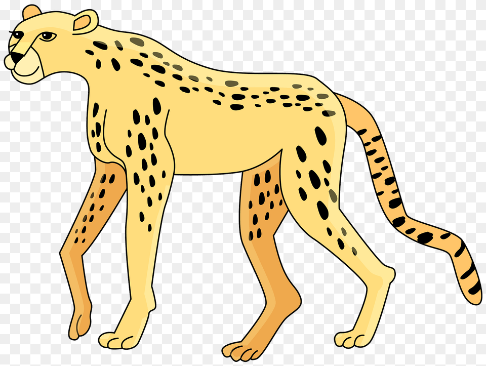 Cheetah Clipart, Animal, Mammal, Wildlife, Kangaroo Free Transparent Png