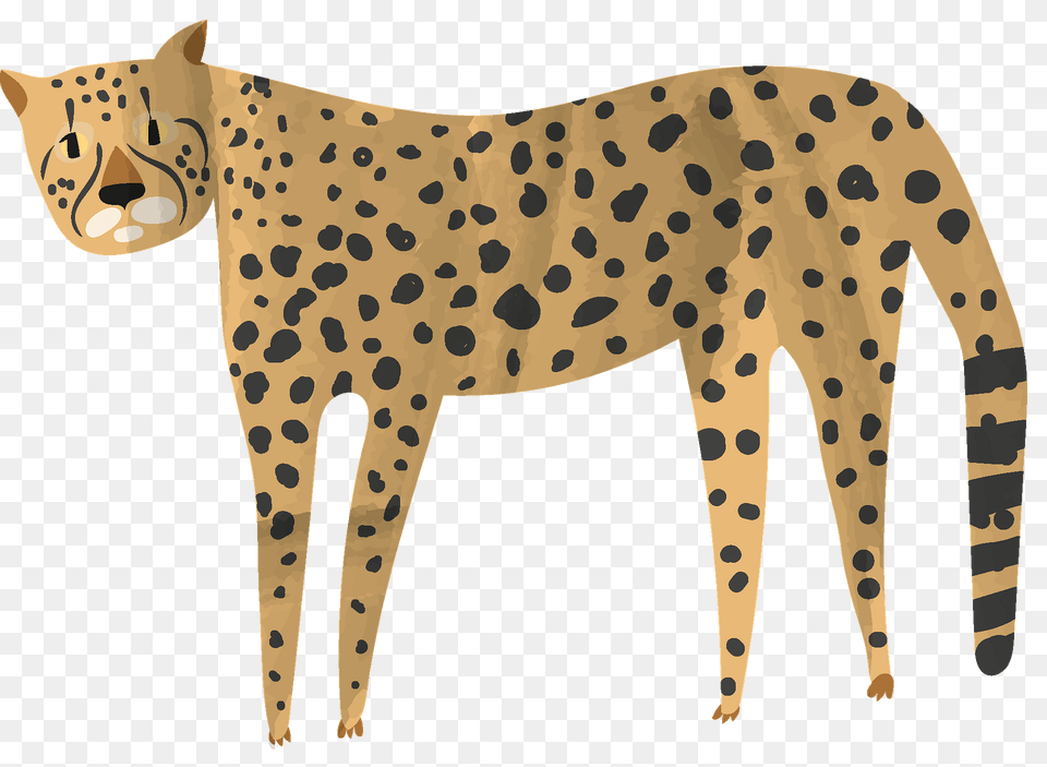 Cheetah Clipart, Animal, Mammal, Wildlife, Panther Png Image