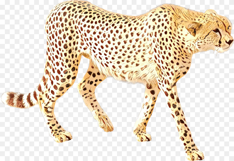 Cheetah Clipart Background Gepard Kreslen, Animal, Mammal, Wildlife Free Transparent Png