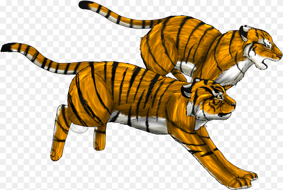Cheetah Clipart Tiger Run Tiger Running Gif Transparent, Animal, Mammal, Wildlife Free Png