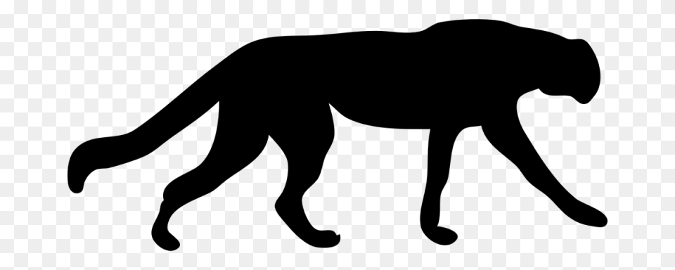 Cheetah Cougar Black Panther Jaguar Clip Art, Gray Free Png Download