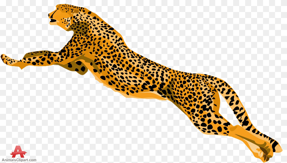 Cheetah Cheetah Clipart, Animal, Mammal, Wildlife, Panther Free Png Download