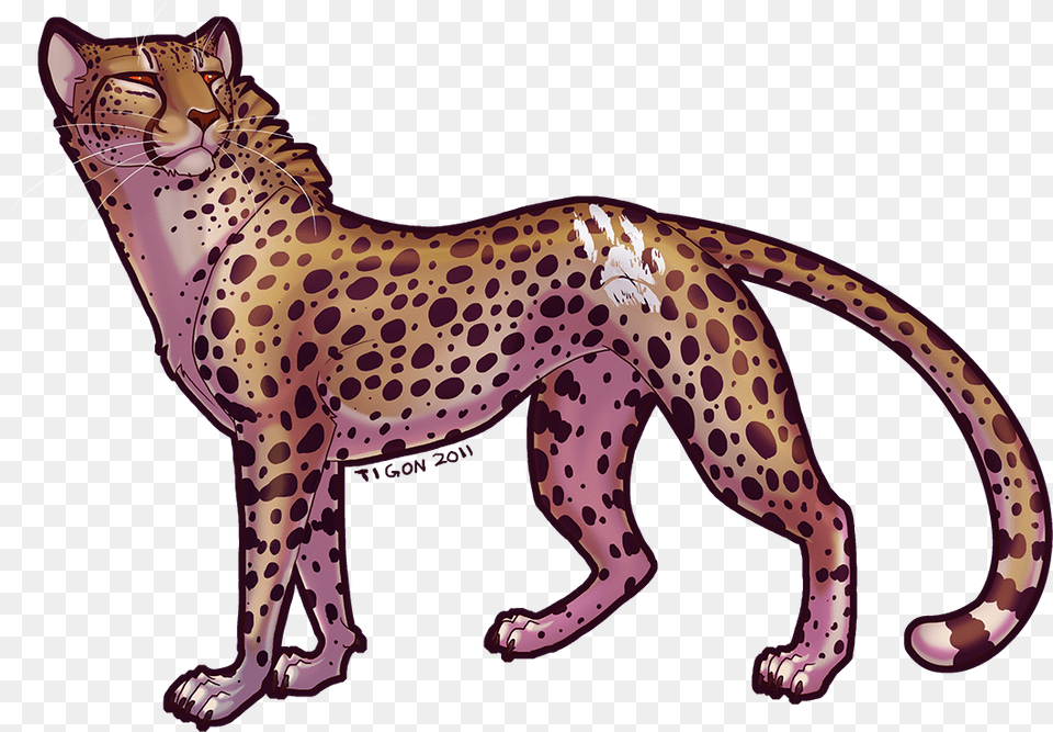 Cheetah Fan Art, Animal, Mammal, Wildlife Free Transparent Png