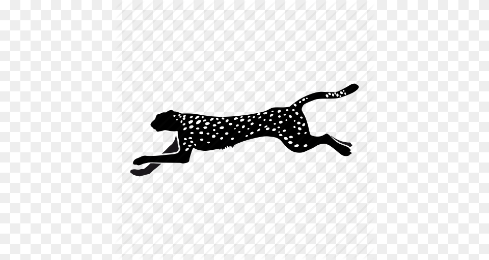 Cheetah Guepardo Icon, Animal, Mammal, Wildlife, Pattern Free Transparent Png
