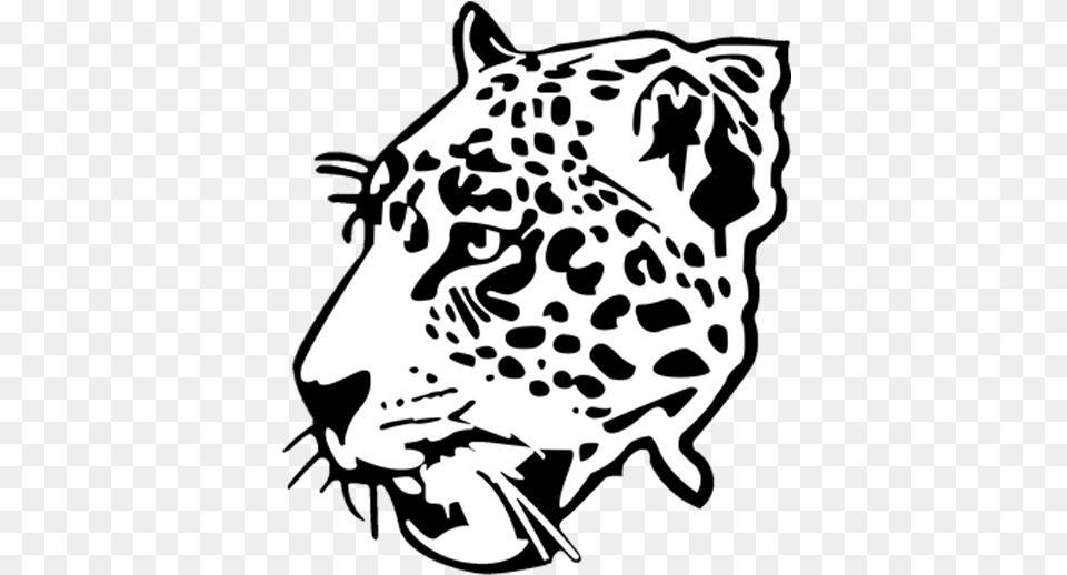 Cheetah Head Black And White, Stencil, Baby, Person, Animal Free Transparent Png