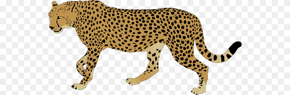 Cheetah Background Arts, Animal, Mammal, Wildlife Png Image
