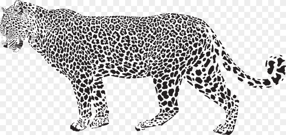 Cheetah Jpg Freeuse Library Black And White Huge Jaguars Vs Leopard Vs Cheetahs, Animal, Mammal, Wildlife, Panther Free Transparent Png