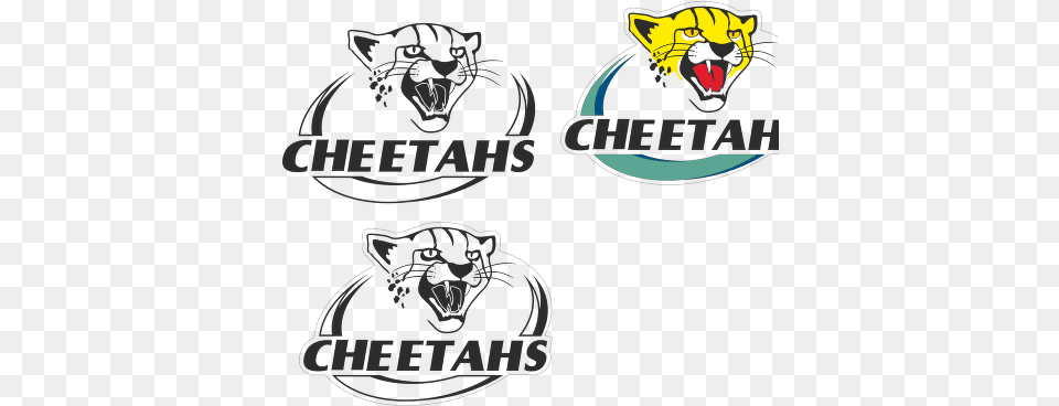 Cheetah Logo Vector Vector Cheetah Rugby Logo Free Png