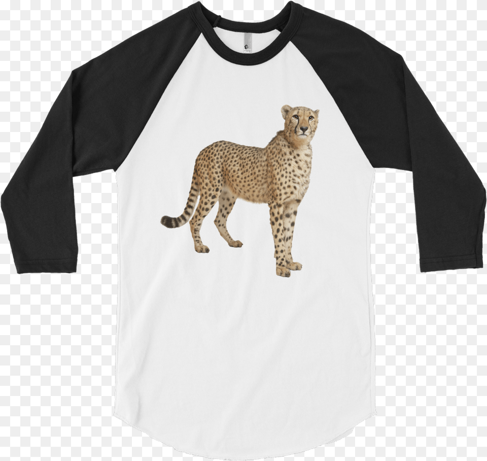 Cheetah Print 34 Sleeve Raglan Shirt Funny Pictures For T Shirts, Animal, Clothing, Long Sleeve, Mammal Png Image