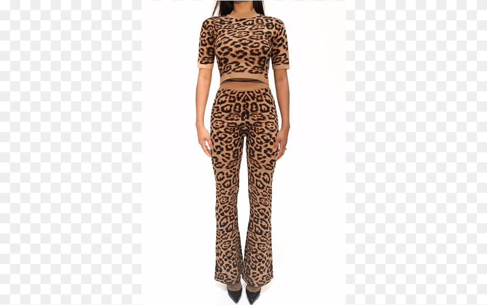 Cheetah Print Flare Pants Set Photo Shoot, Clothing, Adult, Female, Person Png