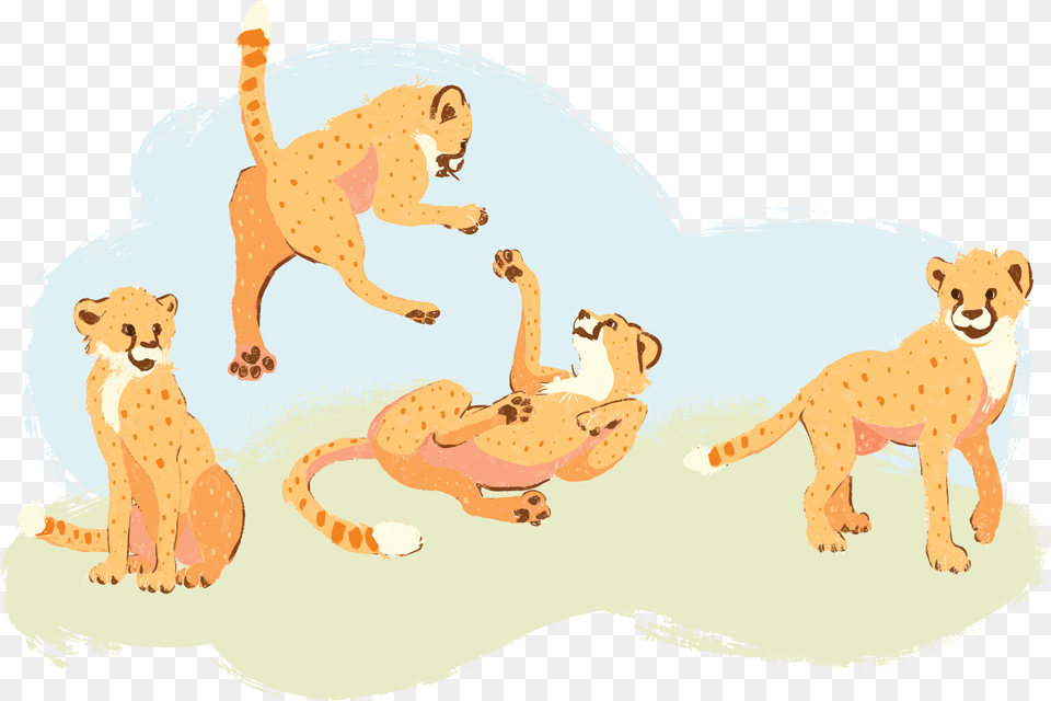 Cheetah Running Hd Cartoon, Animal, Lion, Mammal, Wildlife Png Image