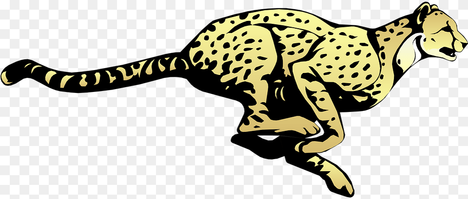 Cheetah Running Speed Cheetah Clip Art, Animal, Mammal, Wildlife, Panther Png Image