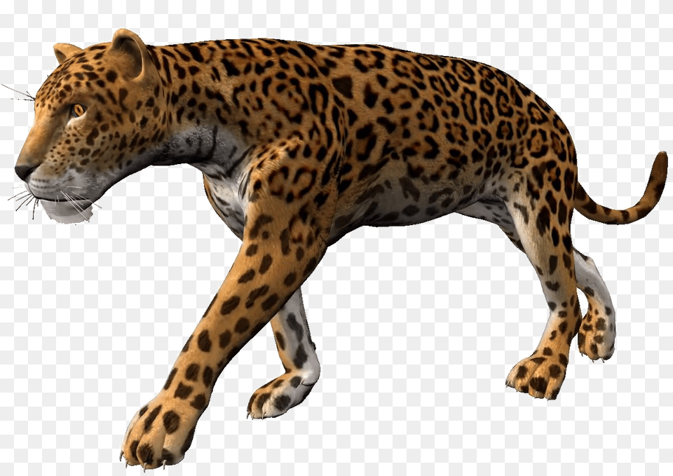 Cheetahpng Background Leopard Animation, Animal, Mammal, Wildlife, Panther Free Png