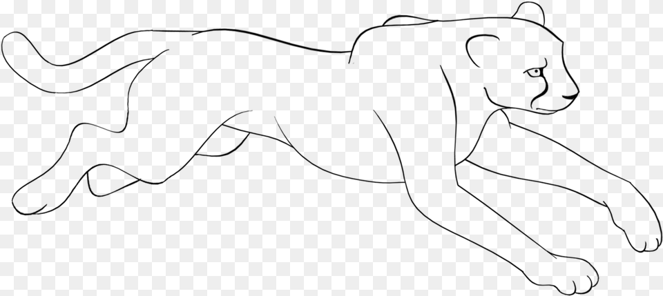 Cheetahs Drawing Easy Draw Transparent Clipart Line Art, Gray Free Png