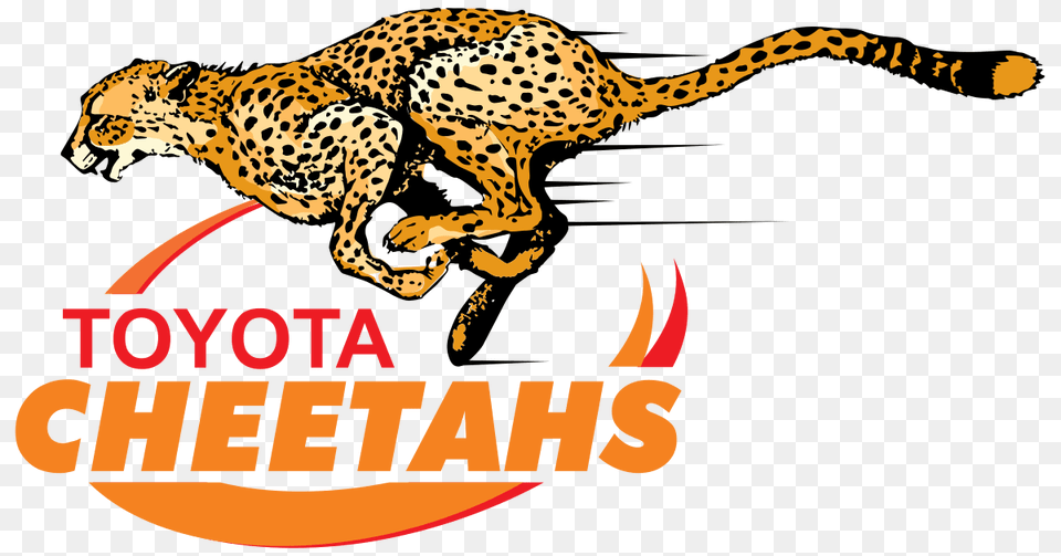 Cheetahs Rugby Logo, Animal, Cheetah, Mammal, Wildlife Free Png