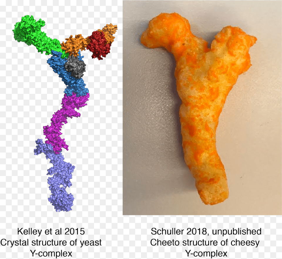 Cheetoscience Hashtag On Twitter Goldfish, Food, Fried Chicken Free Png Download