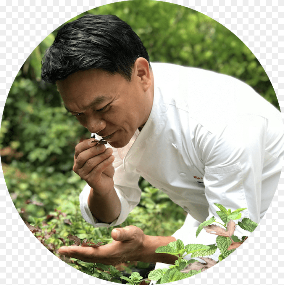 Chef Ian Kittichai At Tangerine S Herb Garden Grass, Adult, Male, Nature, Outdoors Free Png Download