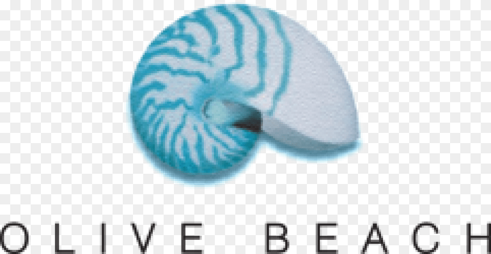 Chef Olive Beach Logo, Animal, Seashell, Sea Life, Home Decor Free Png