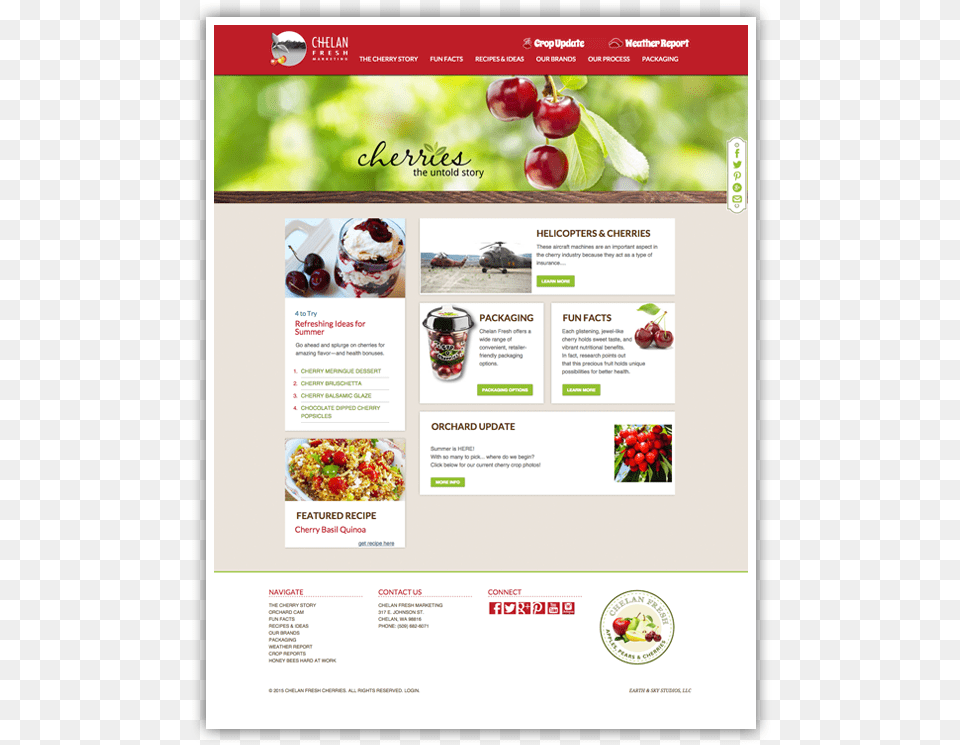 Chelan Fresh Cherries Online Advertising, Advertisement, Poster, Produce, Plant Png
