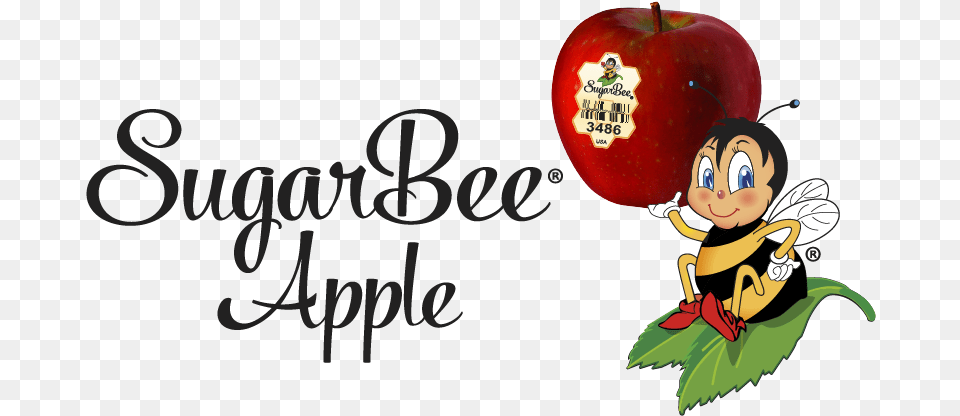 Chelan Fresh Sugarbee Apples The Story Sugar Bee Apple Jpg, Food, Fruit, Plant, Produce Free Png