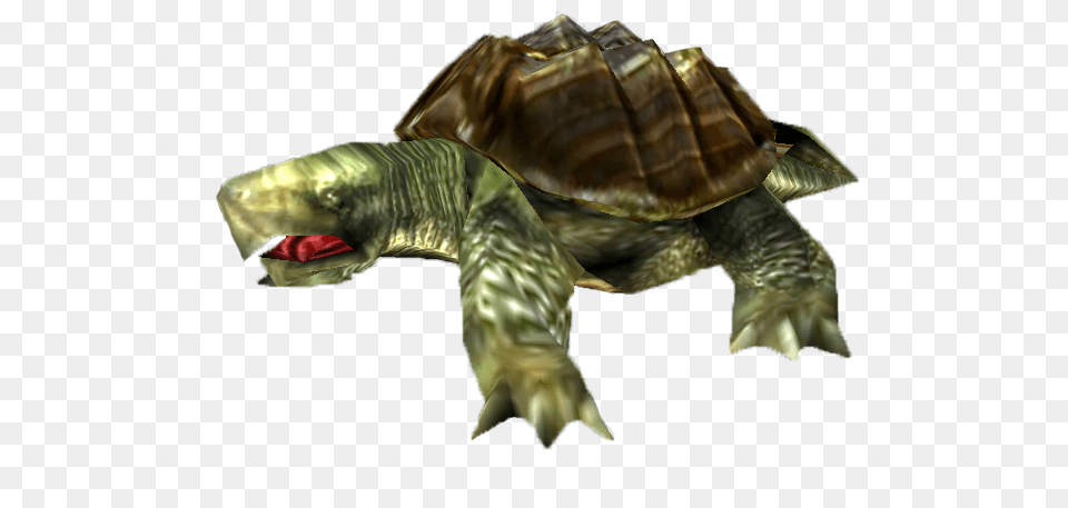 Chelonoidis, Animal, Reptile, Sea Life, Tortoise Free Png Download