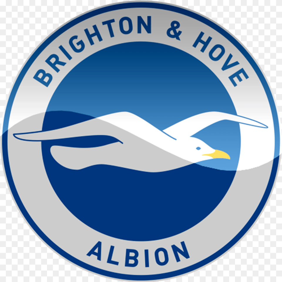 Chelsea Stars Olivier Giroud And Emerson Palmieri Wanted By Logo Brighton Hove Albion Hd, Animal, Bird, Seagull, Waterfowl Free Png