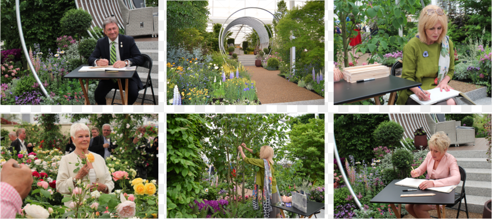 Chelsea Yard, Gardening, Collage, Garden, Nature Png Image