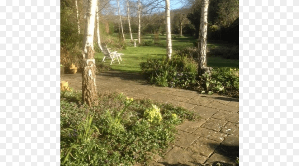 Cheltenham Spacious Cotswold Home Amp Garden Backyard, Woodland, Walkway, Vegetation, Tree Free Png Download