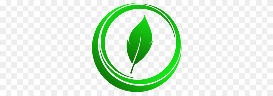 Chemical Element Images Under Cc0 License, Green, Leaf, Plant, Bud Png Image
