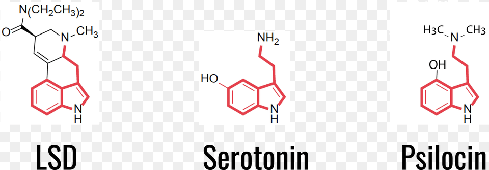 Chemical Structure Of Serotonin Lsd And Psilocin Molekula Lsd I Serotonina Png Image