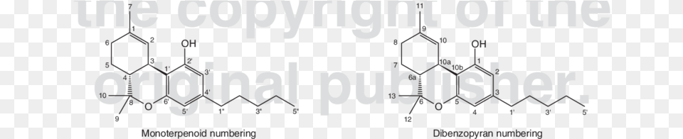 Chemical Structure Of Tetrahydrocannabinol The Main Tetrahydrocannabinol, Text, Symbol Free Png