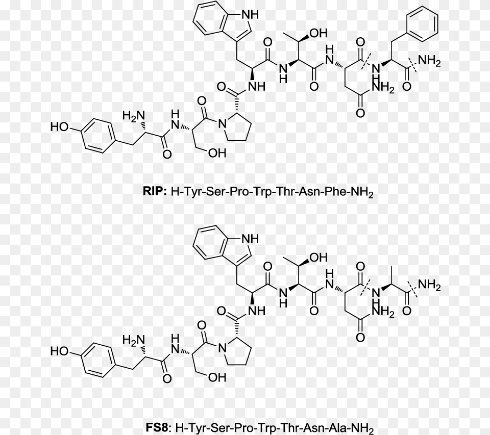 Chemical Structures Of Rip And Fs8 Science, Gray Free Transparent Png