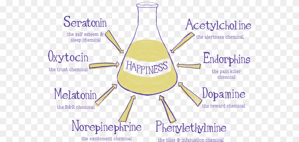 Chemicals Happinesschemicals Chemicals For Biochemical Happiness, Jar, Pottery, Adult, Bride Free Transparent Png