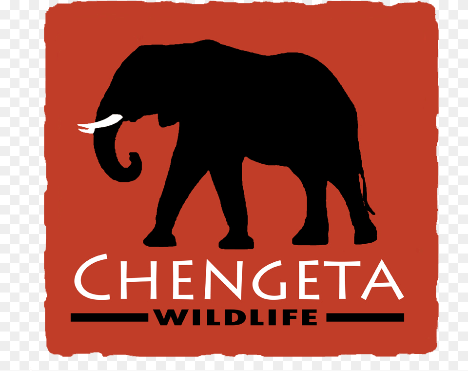 Chengeta Wildlife Logo Indian Elephant, Animal, Mammal Png Image