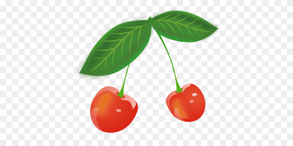 Cherries, Cherry, Food, Fruit, Plant Png Image