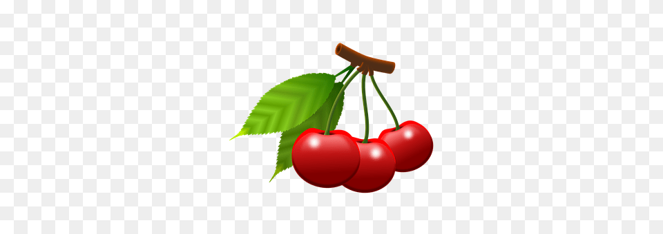 Cherries Cherry, Food, Fruit, Plant Free Png