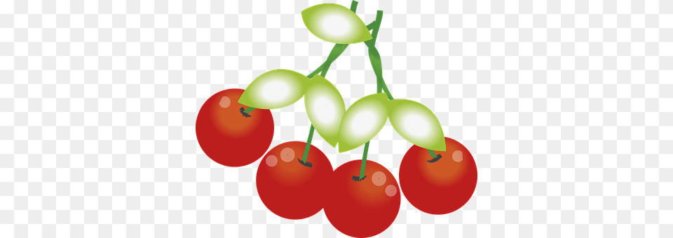 Cherries Cherry, Food, Fruit, Plant Free Transparent Png