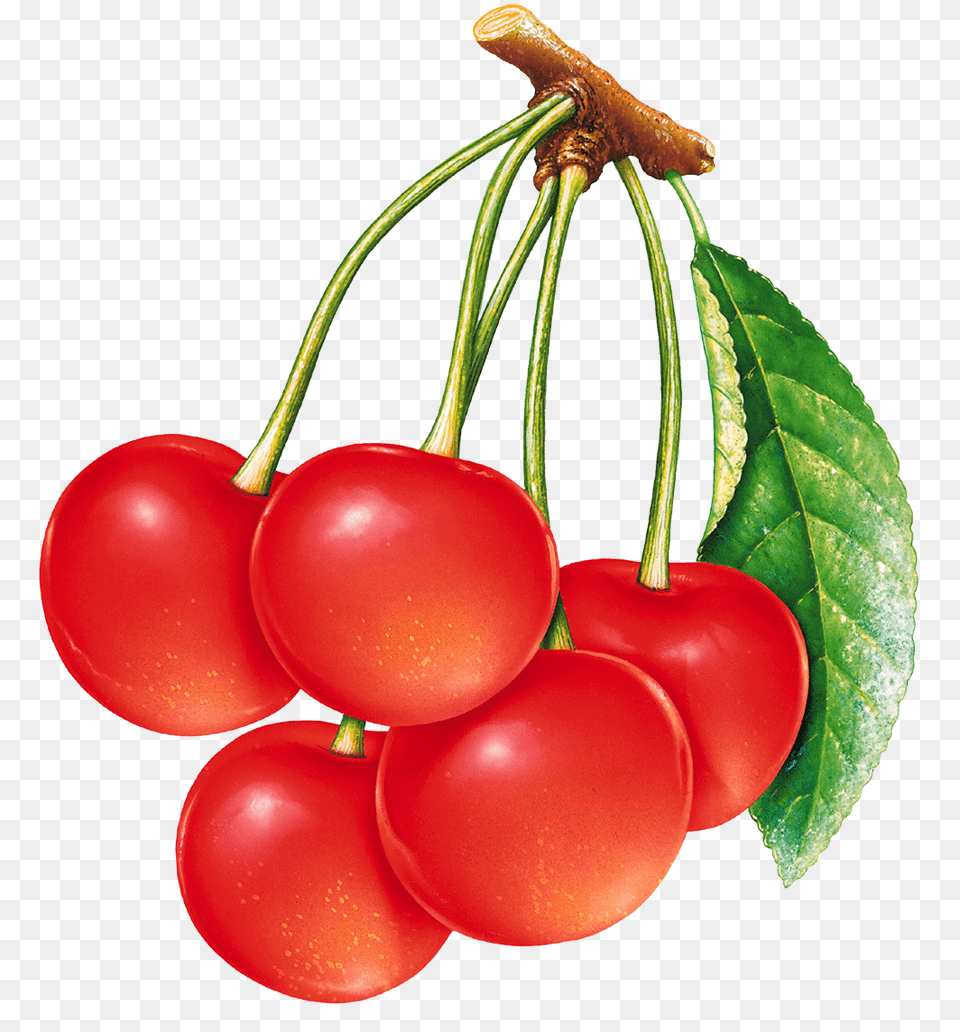 Cherries, Cherry, Food, Fruit, Plant Free Png Download