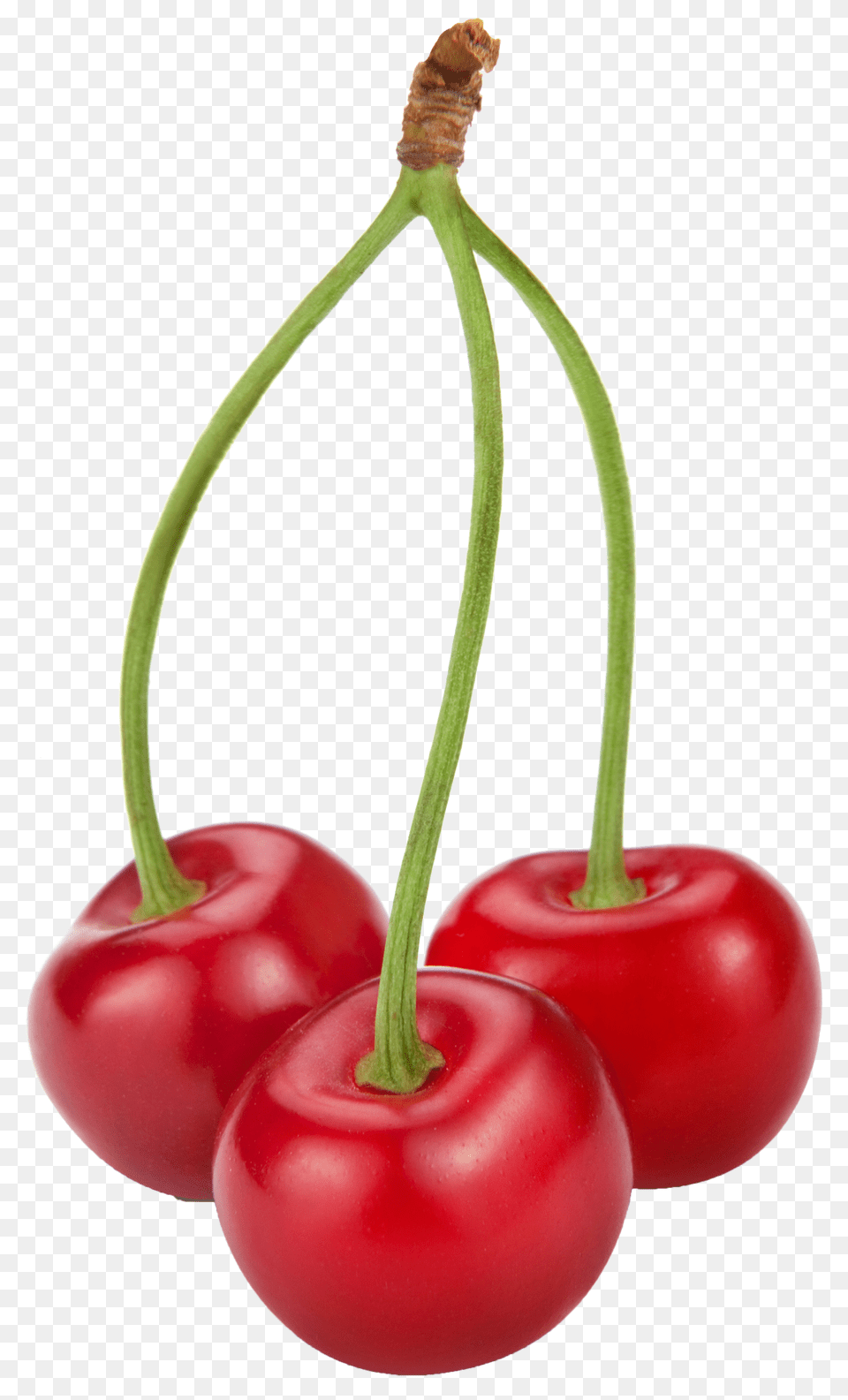 Cherries, Cherry, Food, Fruit, Plant Free Png Download