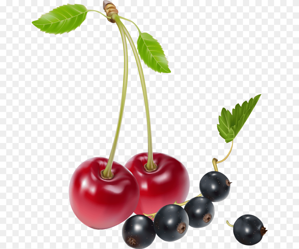 Cherries And Blueberries Clipart Cherries And Blueberries, Cherry, Food, Fruit, Plant Png
