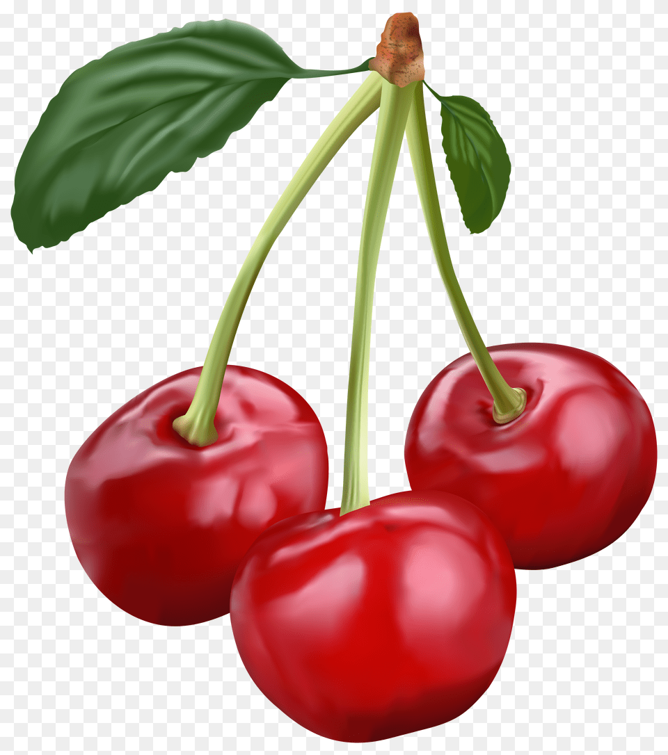 Cherries Cherry Clipart Transparent Background Free Png Download