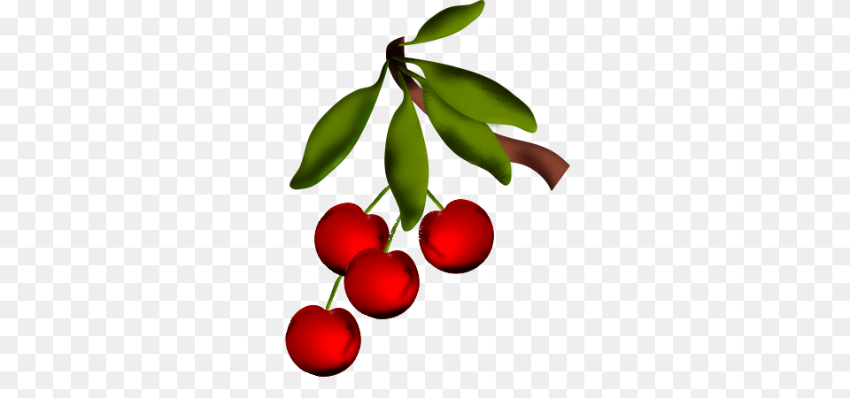 Cherries Clip Art Clip Art, Cherry, Food, Fruit, Plant Png