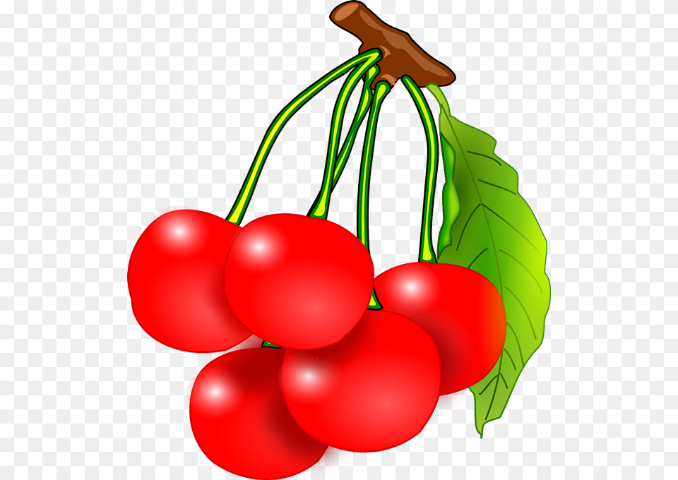 Cherries Clip Art Look, Cherry, Food, Fruit, Plant Png